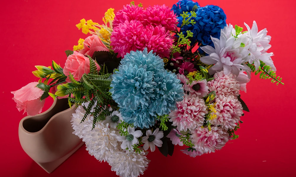 What Do Different Carnation Colours Symbolise?
